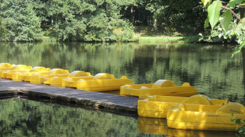 Du Parc Saint Leger Grands Felins