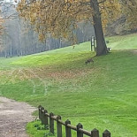 Golf Du Champ De Bataille Extérieur