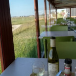 Dégustation Tonneau Huîtres Et Moules Boisson