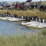 Dégustation Tonneau Huîtres Et Moules Extérieur
