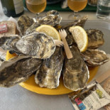 Dégustation Tonneau Huîtres Et Moules Boisson