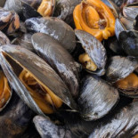 Dégustation Tonneau Huîtres Et Moules Boisson