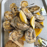 Dégustation Tonneau Huîtres Et Moules Boisson