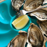 Dégustation Tonneau Huîtres Et Moules Boisson