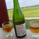 Dégustation Tonneau Huîtres Et Moules Boisson