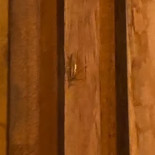 The Little Italy À l'intérieur