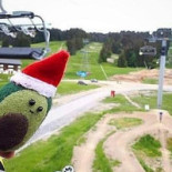 Wild Beets Kitchen Exterior