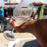 Plage Des Îles Minuman