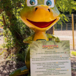 The Forest Of Fossils outside