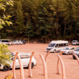 The Forest Of Fossils outside