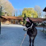 L'oiseau Perdu Exterior