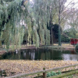 L'oiseau Perdu Exterior