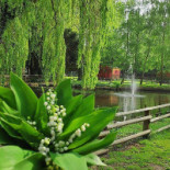 L'oiseau Perdu Exterior