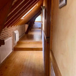 L'oiseau Perdu Dentro