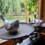 L'oiseau Perdu Bebida