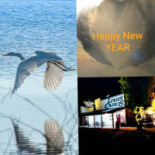 Ma-dam Coréen Traiteur Salon De Thé Orléans Bebida