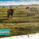 Ma-dam Coréen Traiteur Salon De Thé Orléans Exterior