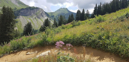 Le Passe-Montagne outside