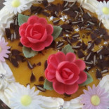 Camping Merry-sur-yonne Bebida