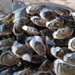 La Cabane à Huîtres Bebida