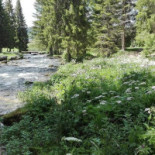 Le Chalet De La Source Außen