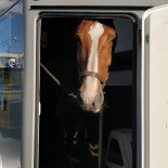 Ciao Autogrill Wancourt Est A1 Exterior