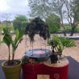 Les Marronniers Exterior