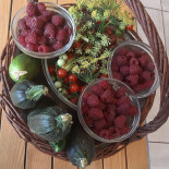 New Castle Bar/ Restaurant Food