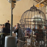 Le Mas Du Capoun drink