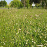 Les Comptoirs Casino Extérieur