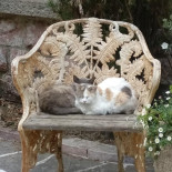 Molitg-les-bains Grand Extérieur