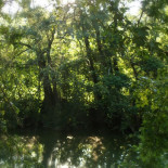 Camping Le Mouliat Exterior