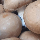 Les Tables De La Gare Boisson