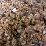 Les Tables De La Gare Nourriture