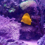 Auberge Des Iles Exterior