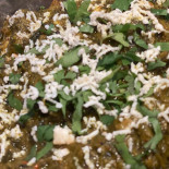 Kessari Inde Nourriture