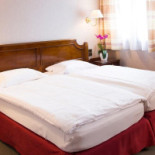 Hostellerie Saint-florent Bebida