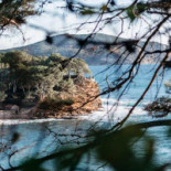 Cafe Dientzenhofer Boisson