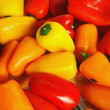 Relais Notre-dame drink