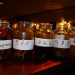 Manapany Café Minuman