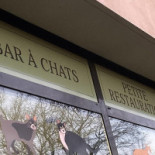 à Chats Le Café Du Chat'Ô Plescop outside