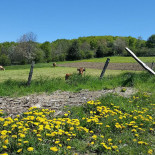 Auberge de Grange Rouet outside