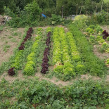 Auberge de Grange Rouet outside