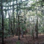 Auberge de Grange Rouet outside