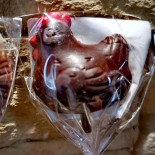 T'café Torréfaction Biernau Comida