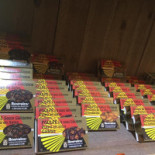 T'café Torréfaction Biernau Dentro