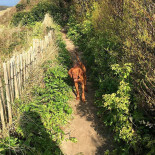 Toul An Ouc'h Exterior