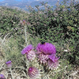 A Merendella Exterior