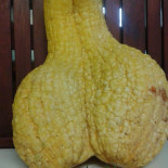 Les Grands Prés drink