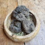 Le Bois du Bon Sejour Bebida